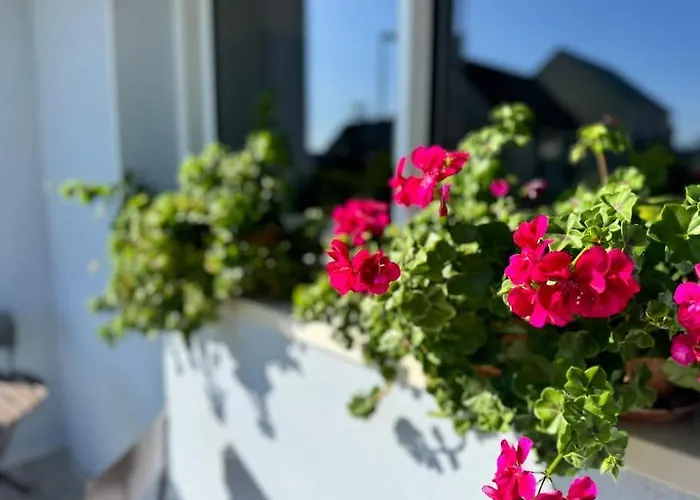 La Maison Bleue - Plain-Pied Proche Plages Et Caen