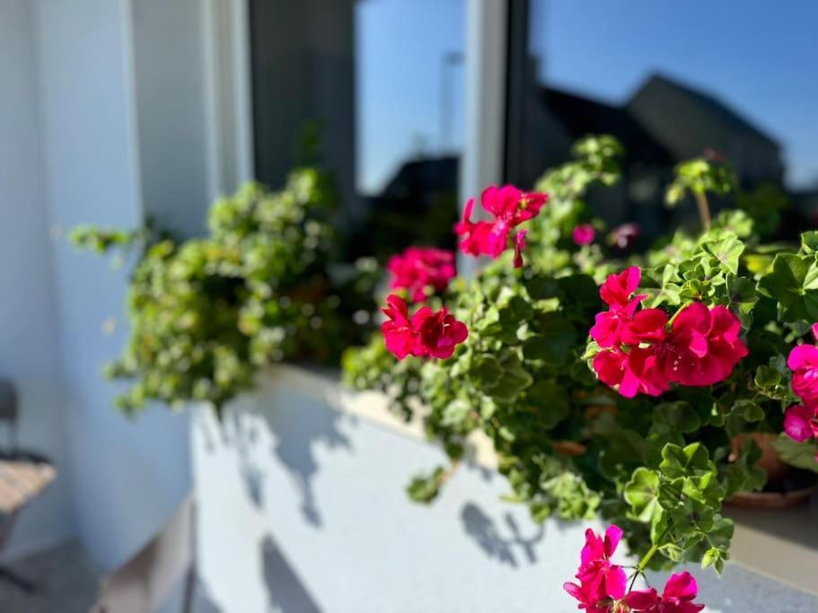 La Maison Bleue - Plain-pied Proche Plages Et Caen Rosel